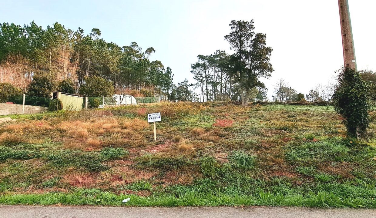 Imagen de WhatsApp 2024-02-20 a las 20.33.56_b80cf140