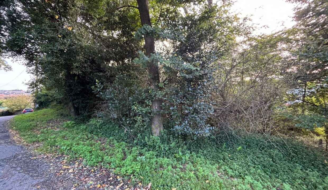 Imagen de WhatsApp 2024-10-21 a las 13.55.23_333abbce