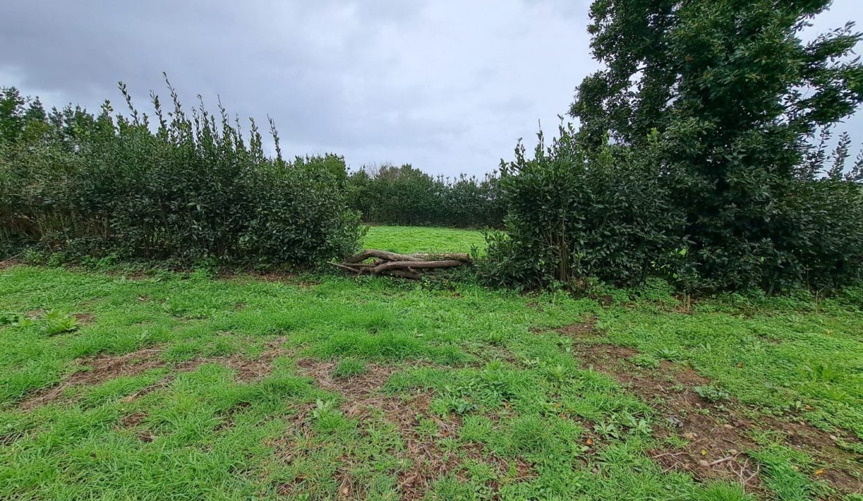 WhatsApp Image 2026-02-12 at 18.44.43 (3)