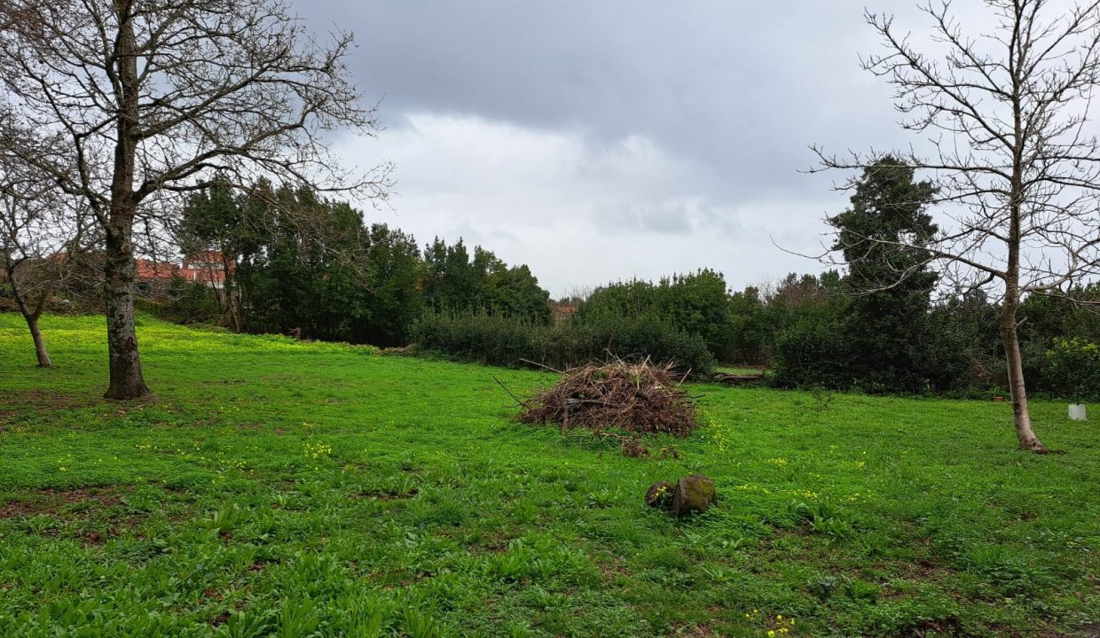 WhatsApp Image 2026-02-12 at 18.44.44 (1)