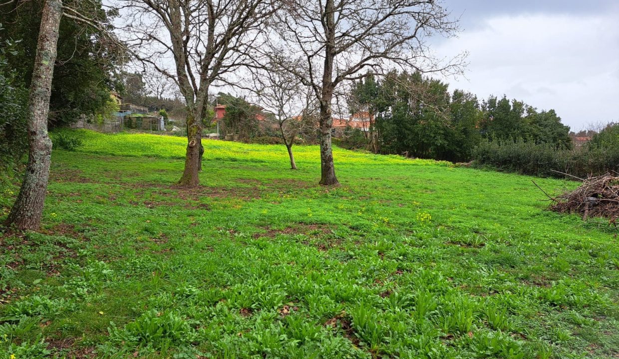 WhatsApp Image 2026-02-12 at 18.44.44 (2)