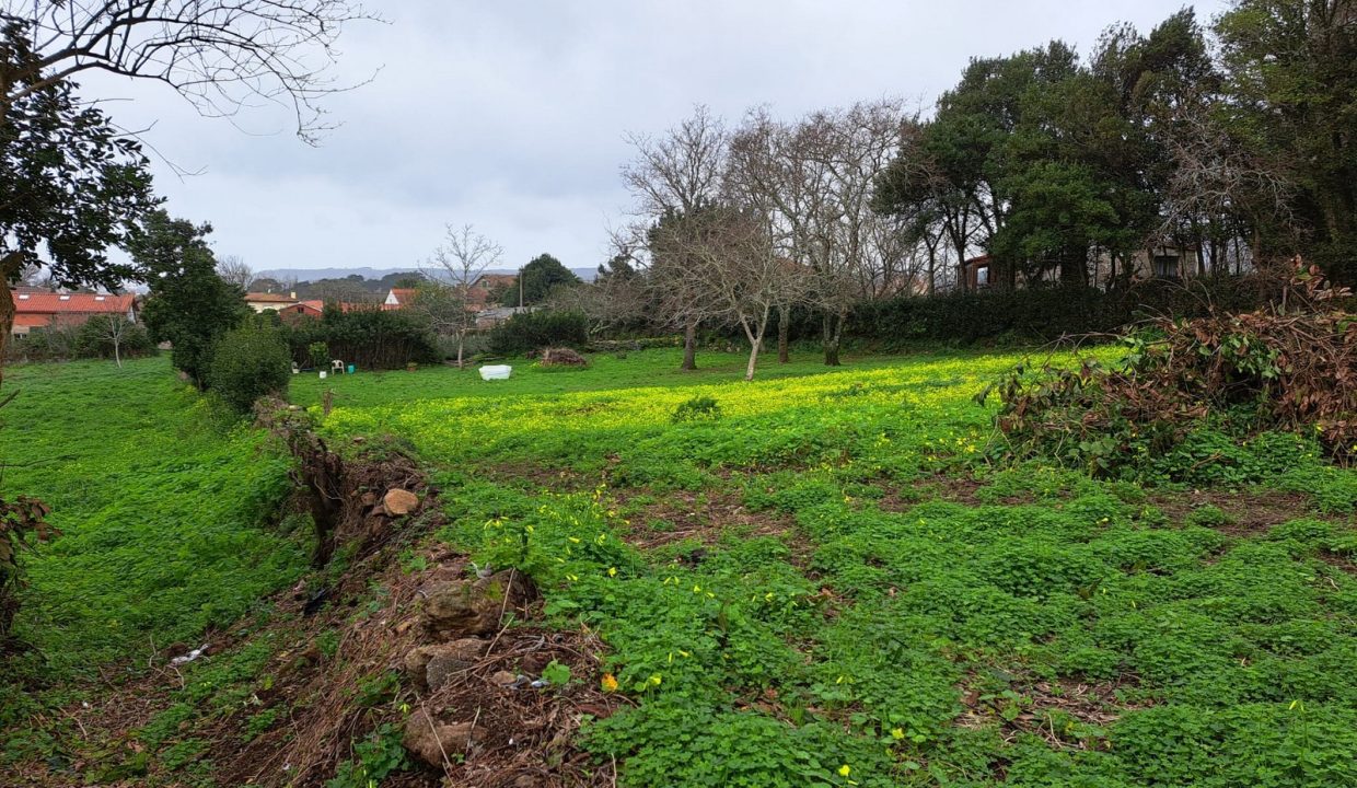 WhatsApp Image 2026-02-12 at 18.44.45 (2)